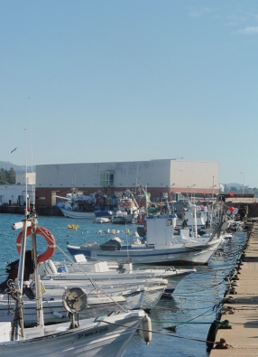 Marbella Fishing Port