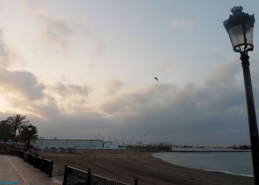The day was blissfully overcast as I made my way towards the fishing port along the promenade in the early hours