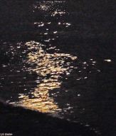 Liquid amber beams Full Sturgeon Moon, Marbella August 2017